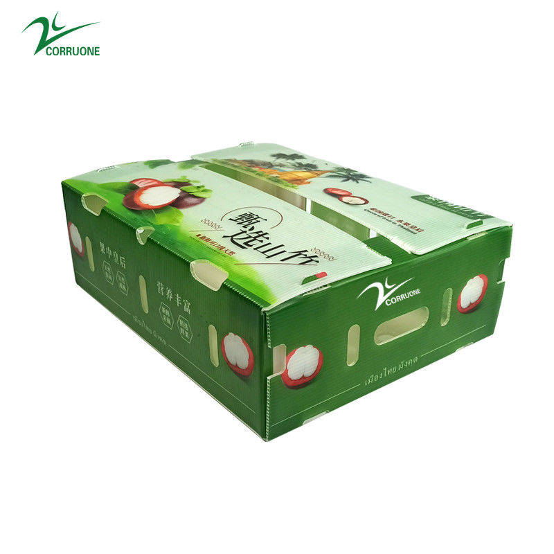 PP Corrugated Plastic Box untuk Sayuran dan Buah Box Corflute correx Broccoli jagung dan Pertanian Kotak pengemasan