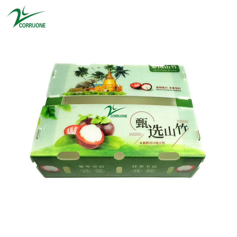 PP Corrugated Plastic Box untuk Sayuran dan Buah Box Corflute correx Broccoli jagung dan Pertanian Kotak pengemasan