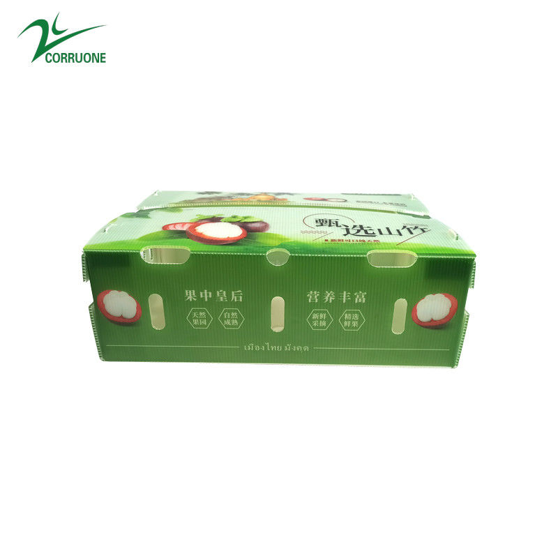 PP Corrugated Plastic Box untuk Sayuran dan Buah Box Corflute correx Broccoli jagung dan Pertanian Kotak pengemasan
