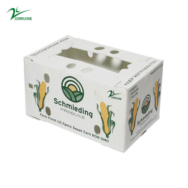 Correx Fruit Box PP Corrugated Plastic Box Untuk Sayuran Dan Pertanian Packing Box