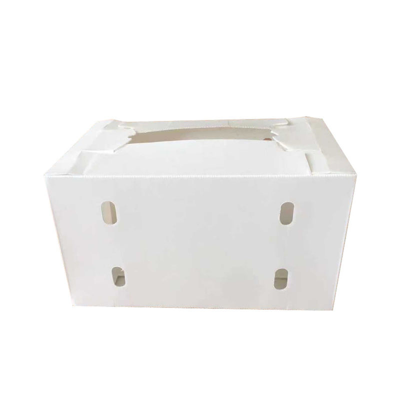 lempitan tahan air Fluted Polypropylene Correx Storage Box PP fresh fruit packing delivery box wadah