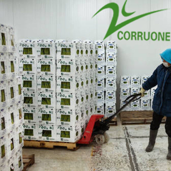 Kotak bergelombang buah berkinerja tinggi untuk kemasan industri pertanian yang optimal