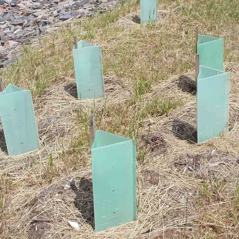 PP Pelindung Pohon Plastik Bergelombang Corflute Pelindung Batang Pohon Plastik