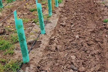 Perlindungan pohon plastik bergelombang yang dibuat dari bahan PP untuk perlindungan