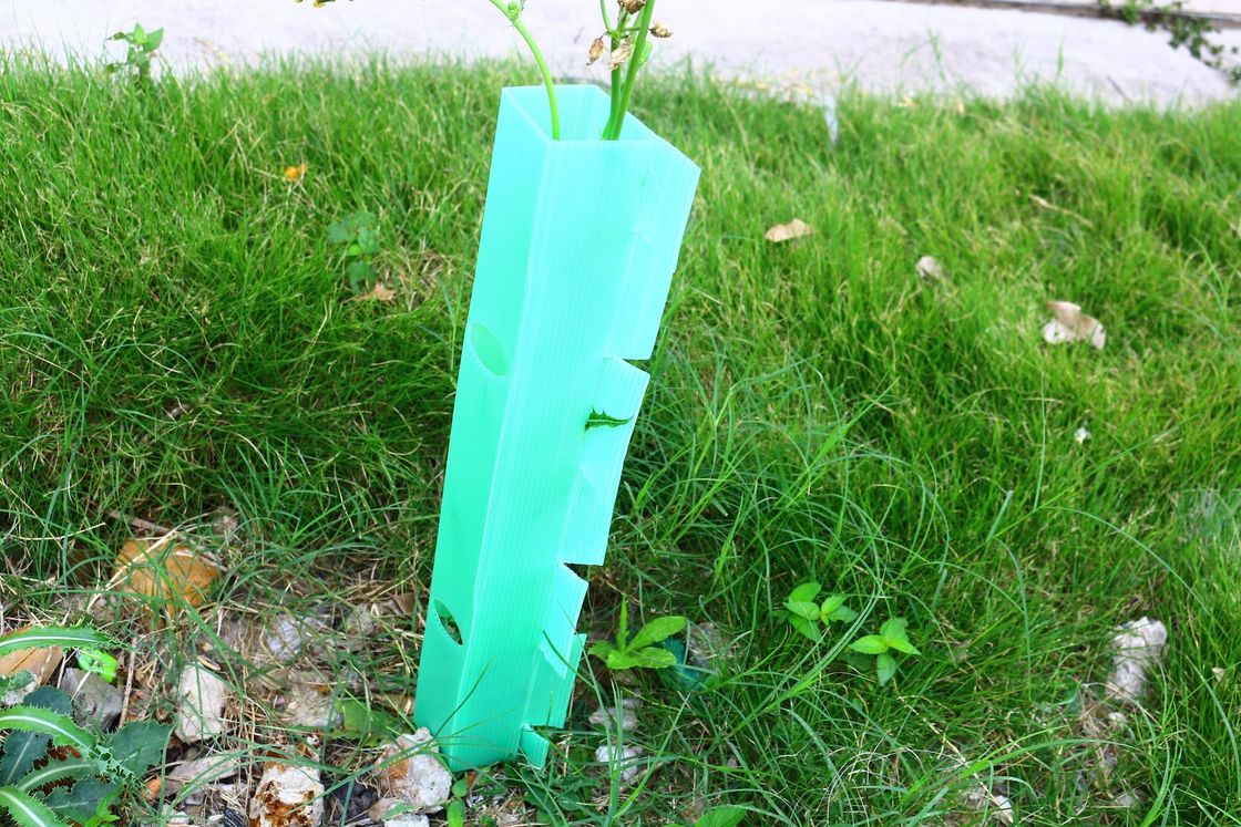 Perlindungan pohon plastik bergelombang yang dibuat dari bahan PP untuk perlindungan