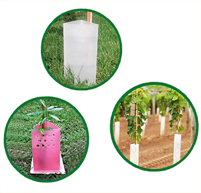 Corruone Polypropylene Plastik Gulung Roll Gulung Plastik Penjaga pohon