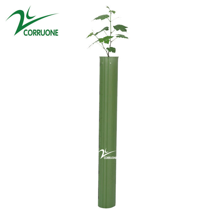 Pelindung Pohon Bergelombang yang Diperlakukan UV 3mm PP Pelindung Tanaman Corflute