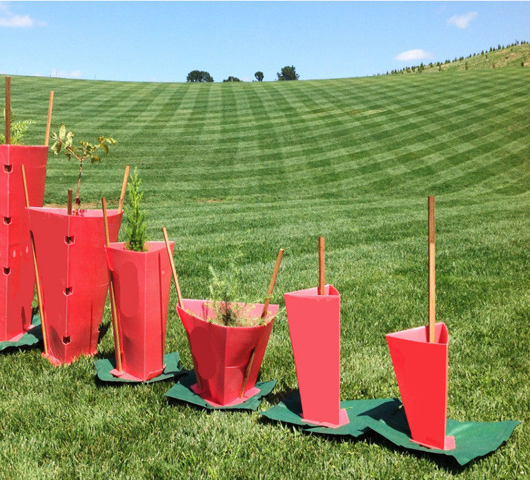 Red 100% PE Corflute Plastic Tree Guards Tahan UV 2mm-12mm