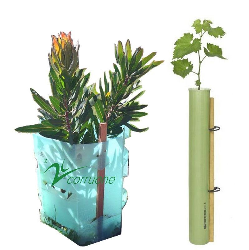 Red 100% PE Corflute Plastic Tree Guards Tahan UV 2mm-12mm
