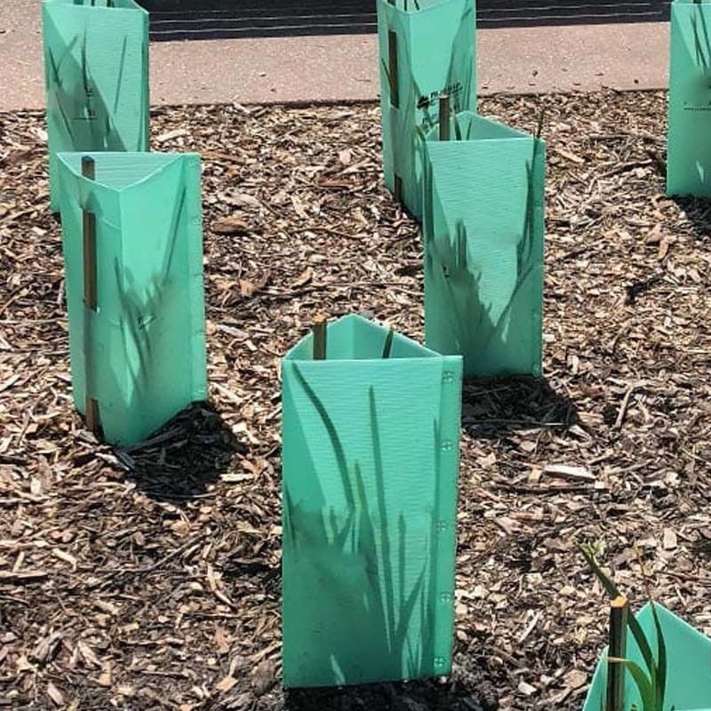 Perlindung Pohon Plastik Bergelombang Permukaan Datar dalam Warna Disesuaikan untuk Perlindungan Tanaman