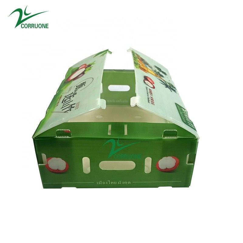 Papan Coroplast Ringan 2mm Tepi 24