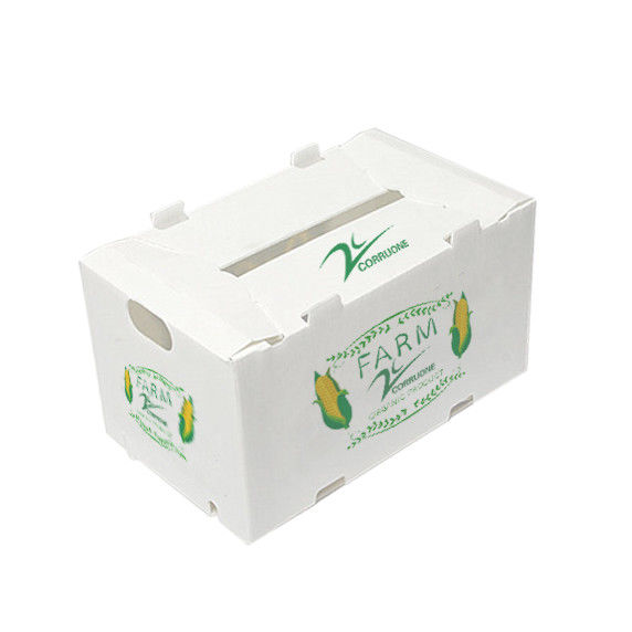 Corruone Waterproof Folding Polypropylene Corrugated Plastic Buah-buahan Sayuran Asparagus/Jahe/Taro/Okra Kotak kemasan