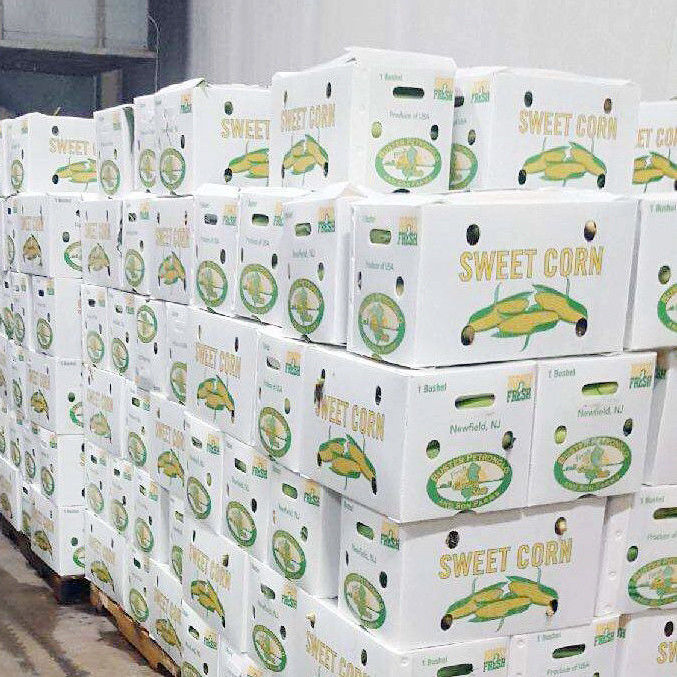 Produk Jual Panas Lipat Ramah Lingkungan Lapisan Pelindung tahan lama Kotak Sayuran dan Buah Plastik